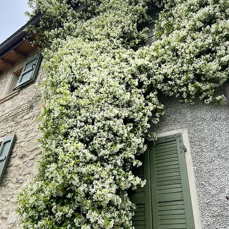 Con Camino Nel Borgo Del Castello Ferienhaus *