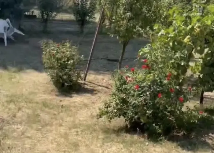 Con Camino Nel Borgo Del Castello Tatil Evi *