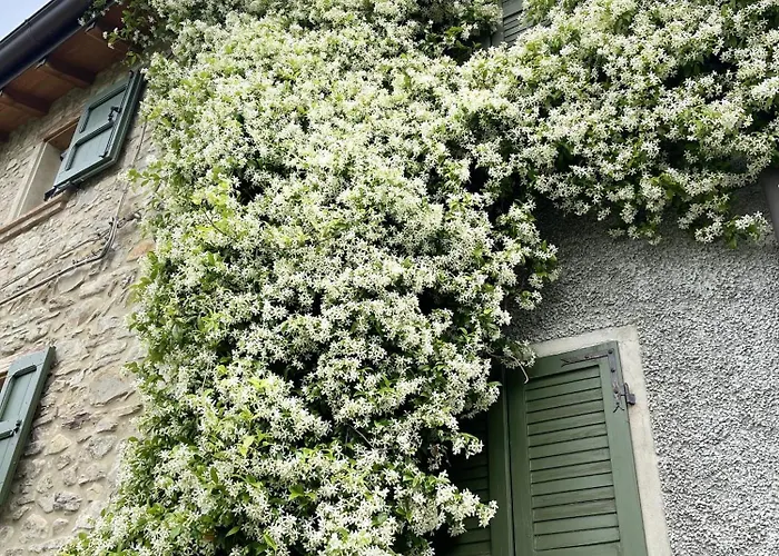 Con Camino Nel Borgo Del Castello Tatil Evi *