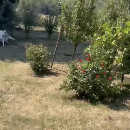 Con Camino Nel Borgo Del Castello Nyaraló *