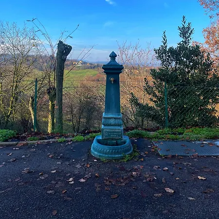 Con Camino Nel Borgo Del Castello Albinea