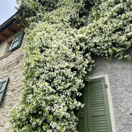 Con Camino Nel Borgo Del Castello 度假居 *